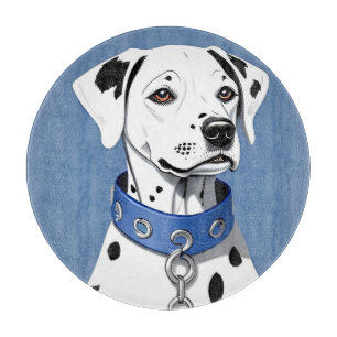 Dalmatiner Hund som bär en blå halsband