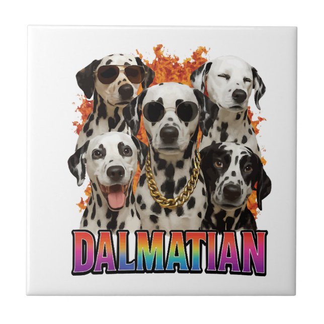 Dalmatiner Kakelplatta (Framsidan)