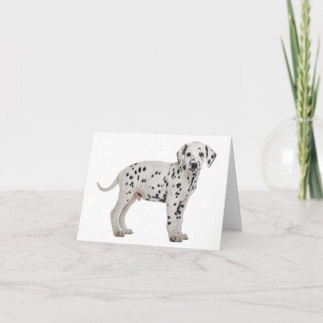 Dalmatiner Valp Hej Tack Kärlek, Förlåt Kort (Framsida)