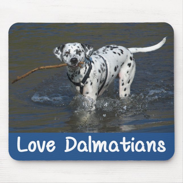 Dalmatiner Valp Hund Musmatta (Framsidan)
