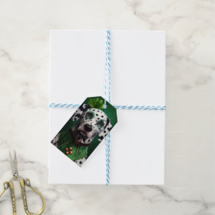 Dalmatinerhund i St. Patricks dag-kostym Presentetikett