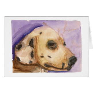 Dalmation kort