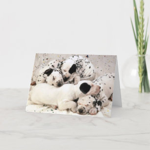Dalmation_Puppies Kort
