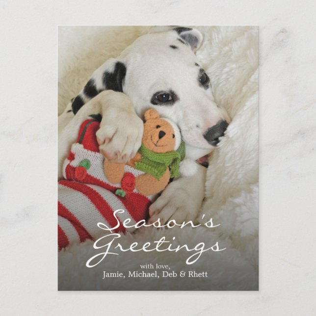 Dalmation valp med julstrumpan helg vykort (Framsida)