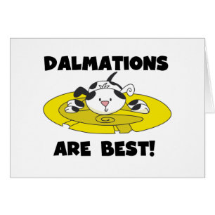 Dalmationer är bästa T-shirts och gåvor Hälsningskort