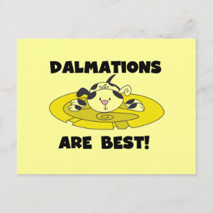 Dalmations är bäst T-tröja och gåvor Vykort
