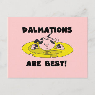 Dalmations är bäst T-tröja och gåvor Vykort