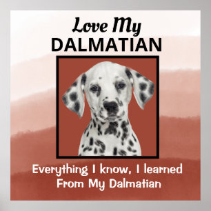 Dalmatisk Anpassningsbar Poster