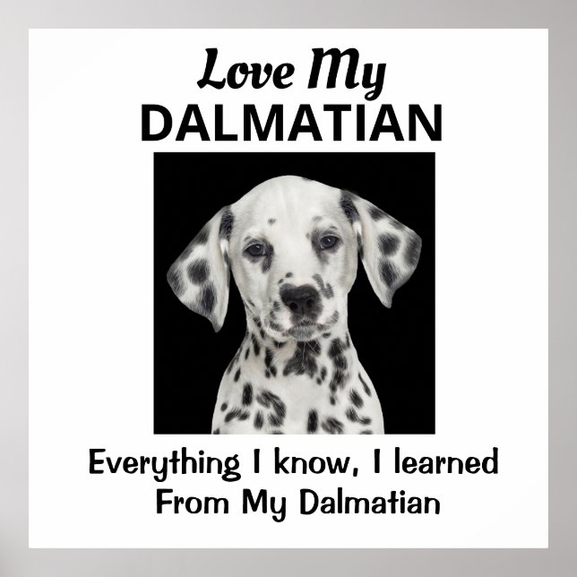 Dalmatisk Anpassningsbar Poster (Framsidan)
