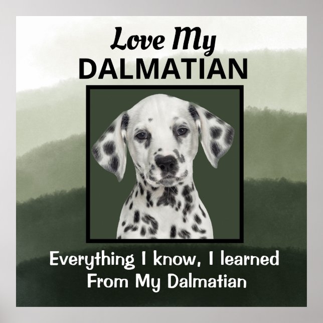 Dalmatisk Anpassningsbar Poster (Framsidan)