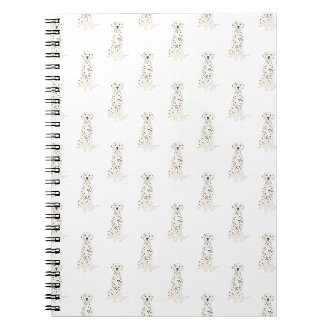 Dalmatisk anteckningsbok (Framsidan)