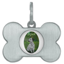 Dalmatisk Hund Painting Namngiven