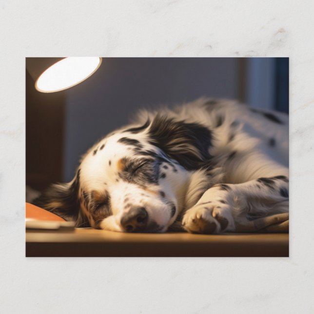 DALMATISK HUND SOVANDE POSTCROSSING VYKORT (Framsida)