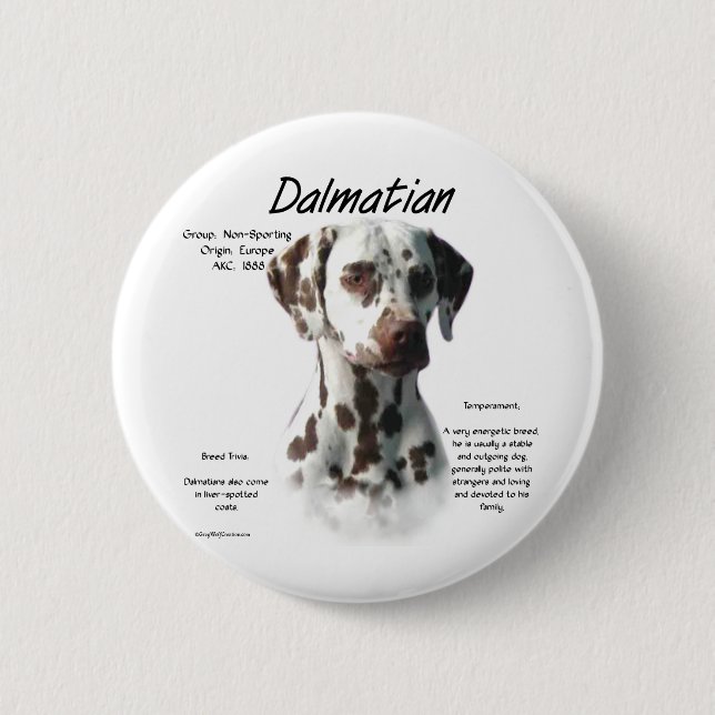 Dalmatisk (lever) historikdesign knapp (Framsida)