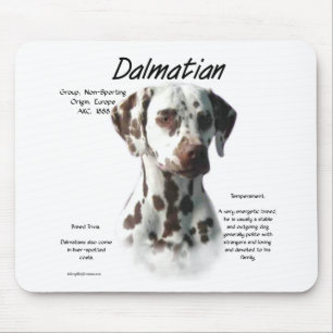 Dalmatisk (lever) historikdesign musmatta