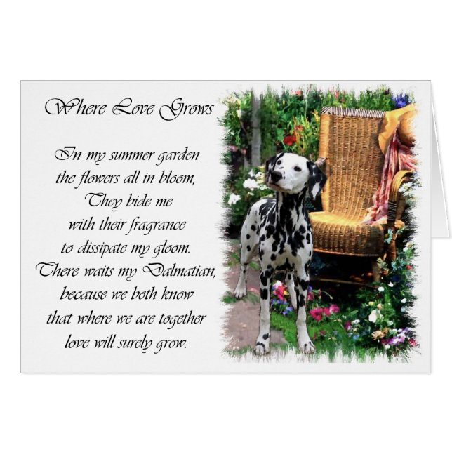 Dalmatiska konstgåvor hälsningskort (Framsidan Horizontal)