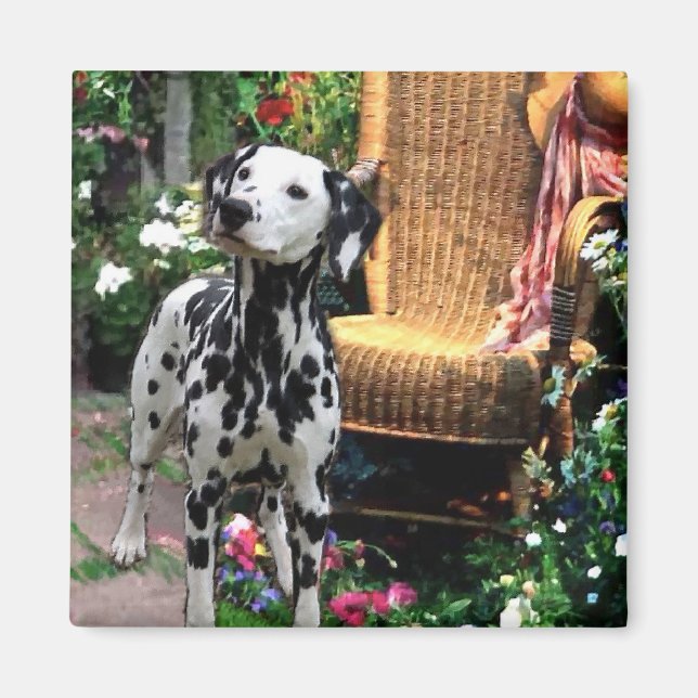 Dalmatiska konstgåvor magnet (Framsidan)