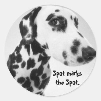 Dalmatiska produkter runt klistermärke