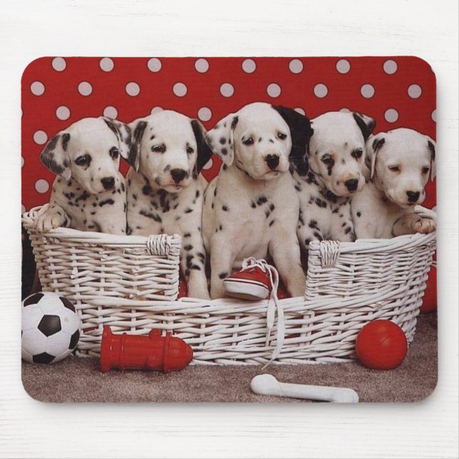 Dalmatiska valpar i Basket Mousepad Musmatta (Framsidan)