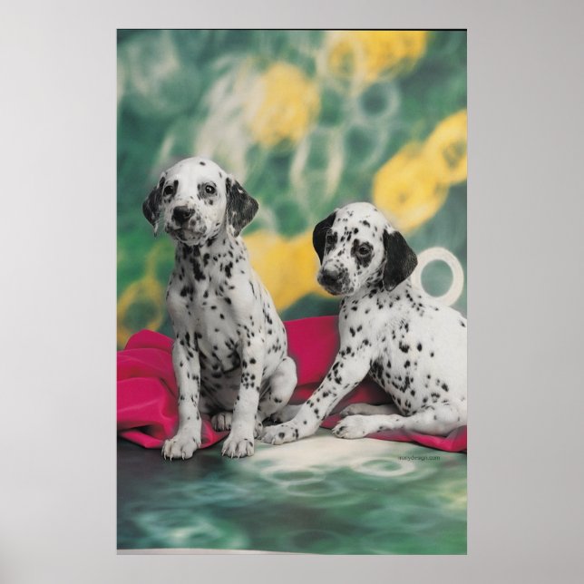 Dalmatiska valpar Poster (Framsidan)
