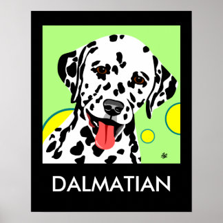 Dalmatiskt Poster av raskonst