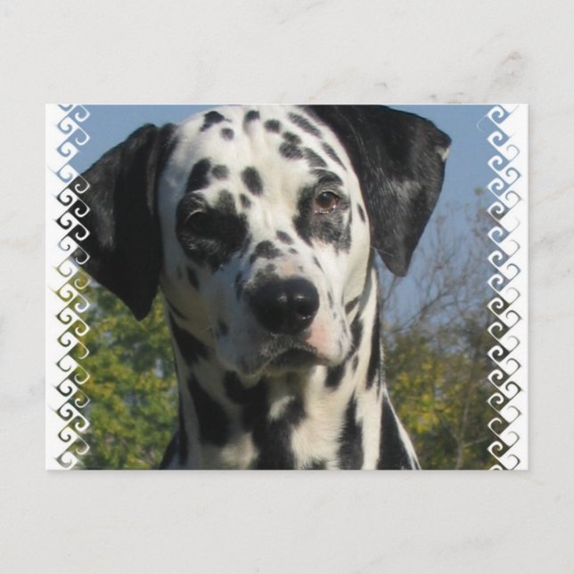 Dalmatiskt vykort (Framsida)