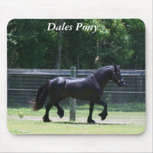 Dalponnytrav Musmatta