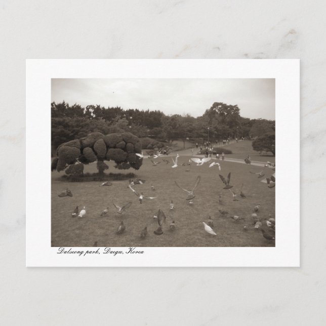 Dalseong Park, Daegu, Sydkoreas vykort (Framsida)