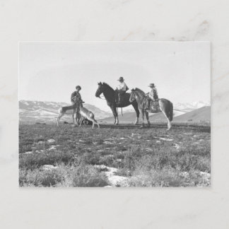 Dalta Antelopes. Vykort