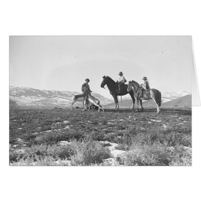 Dalta antilop hälsningskort (Framsidan Horizontal)