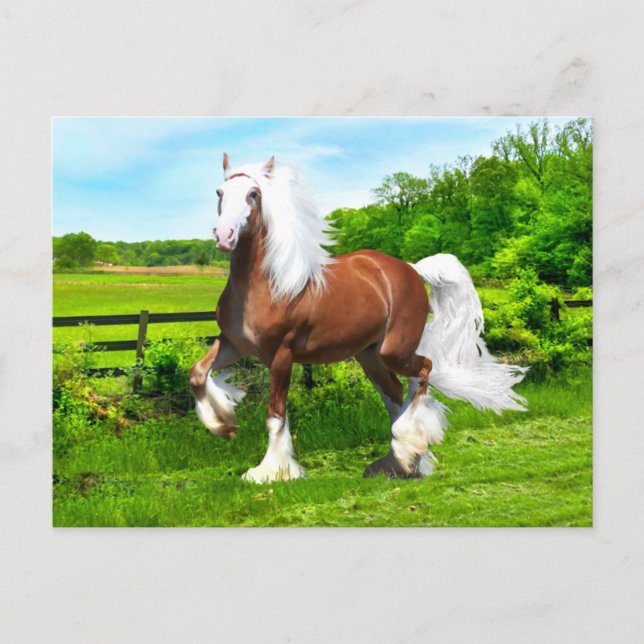 "Dalton"  Vykort (Framsida)