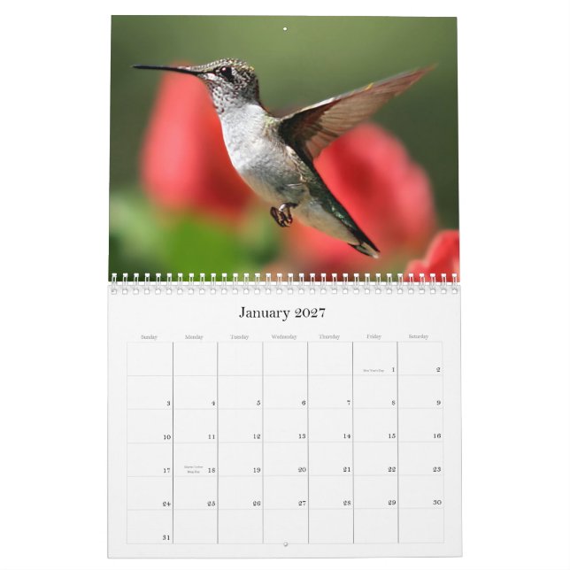 Dalvision Kalender (Jan 2027)