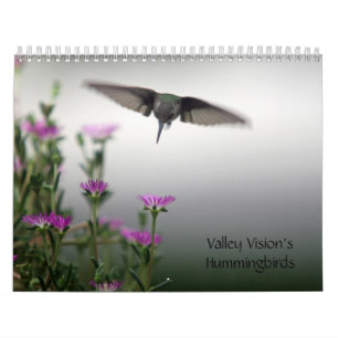 Dalvision Kalender