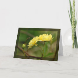 Dam Banker Rosea Duo Kort