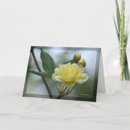 Dam Banker Rosea Kort