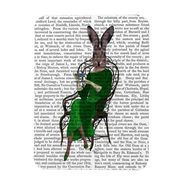 Dam Bella Rabbit Intag av Tea 2 Magnet (Vertikal)