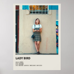 Dam Bird-film Poster