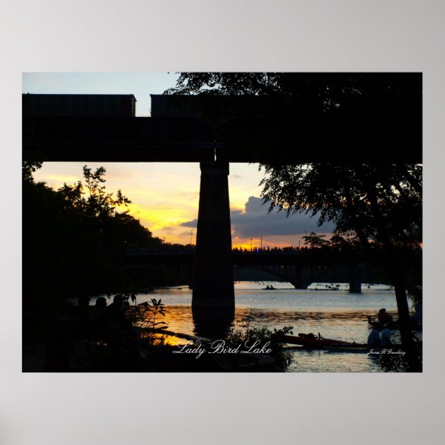 Dam Bird Sjö poster (Framsidan)