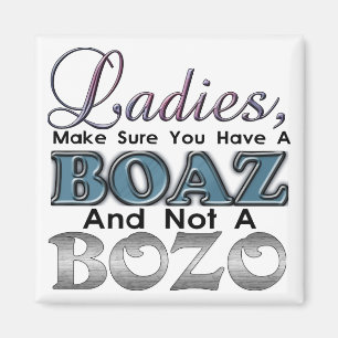 Dam-Boaz-Bozo magnet