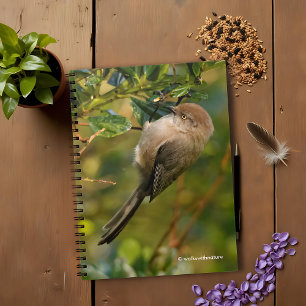 Dam Bushtit på Kalifornien Lilac Bush Anteckningsbok