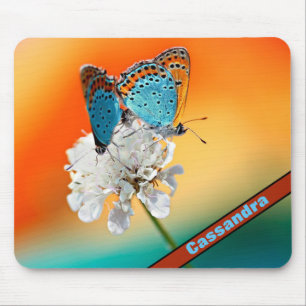 Dam Butterflies Musmatta