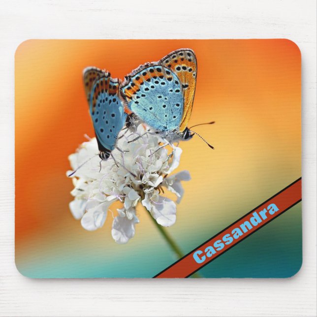 Dam Butterflies Musmatta (Framsidan)