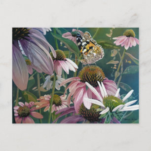 Dam Butterfly Coneflowers Watercolor Art Vykort