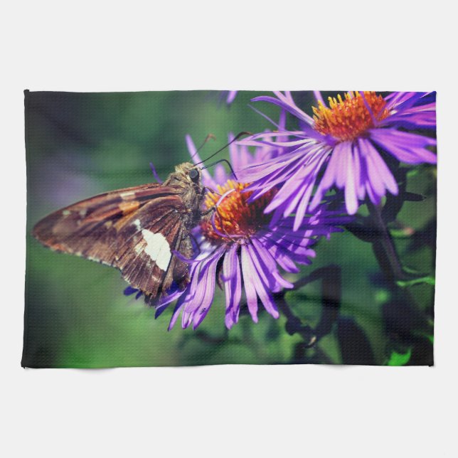 Dam Butterfly vid Vildens Aster Flower Kökshandduk (Horisontell)