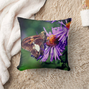 Dam Butterfly vid Vildens Aster Flower Kudde