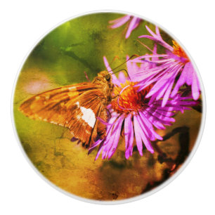 Dam Butterfly Vild Aster Flower Abstrakt Knopp