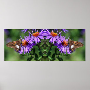 Dam Butterfly Wildblomme Spegel Abstrakt Poster