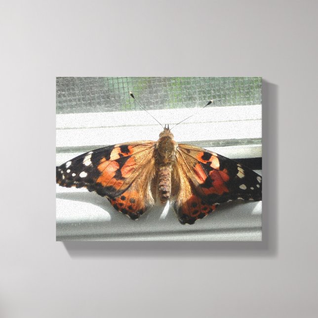 Dam Butterfly Wrapped Canvas (Framsida)