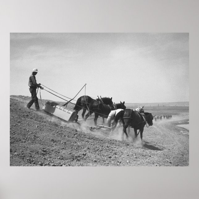 Dam Byggnad: 1936 Poster (Framsidan)