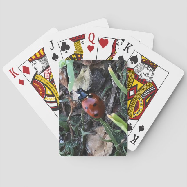 Dam Casinokort (Baksidan)